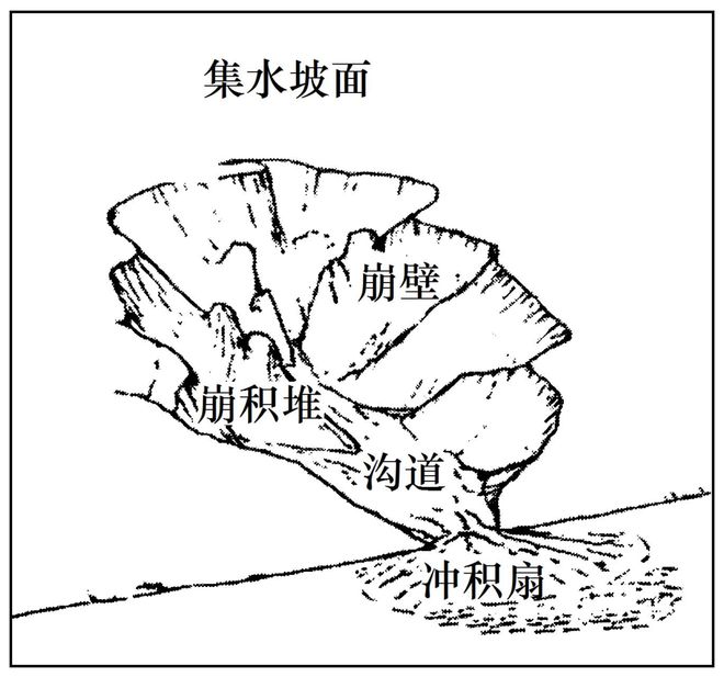 理 二轮微专题22 市场竞争力九游会·j9网站2025高考地(图8)