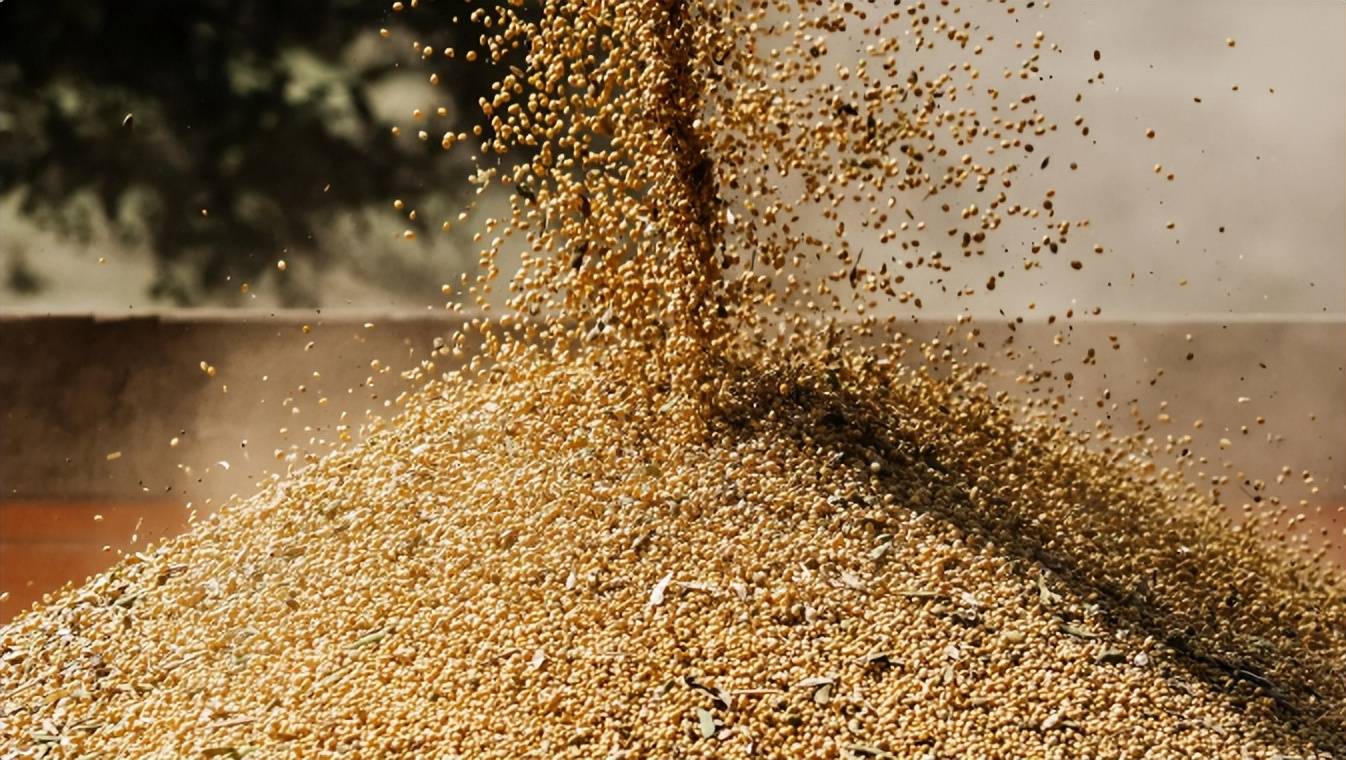 华进口10亿美元商品中国港口变得拥堵J9数字平台难怪特朗普软了美每天对(图11)