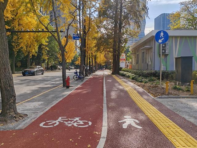 年的小路为何三周“人车两安”？九游会J9一条“人车争道”十